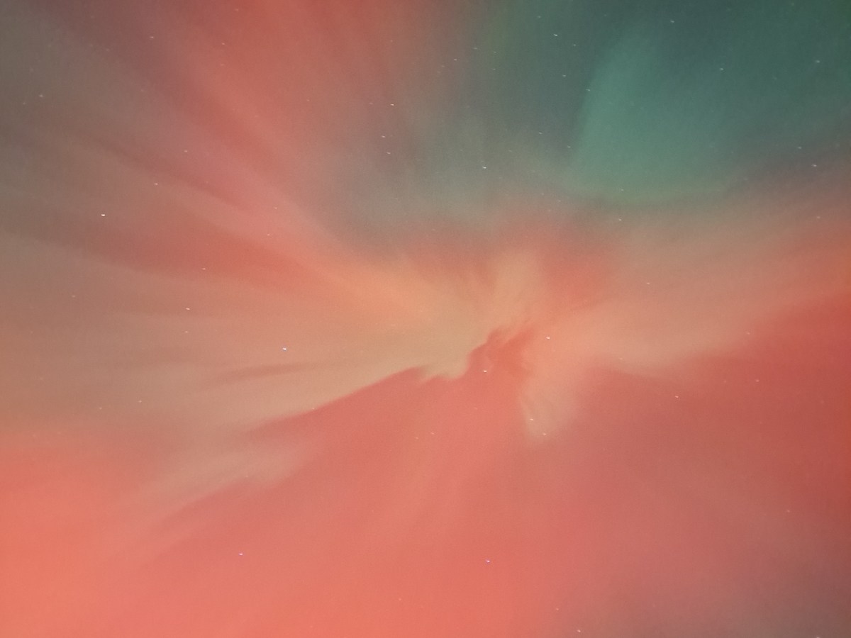 Of Nails and&nbsp;Sparrows