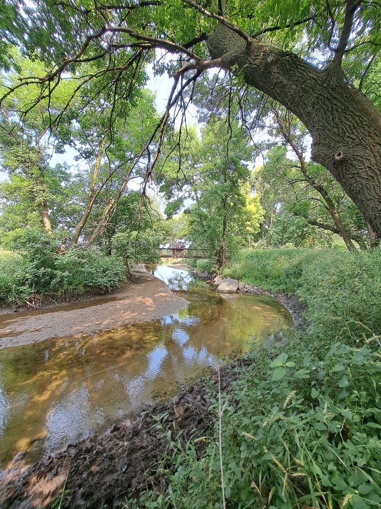 Playing in Plum&nbsp;Creek